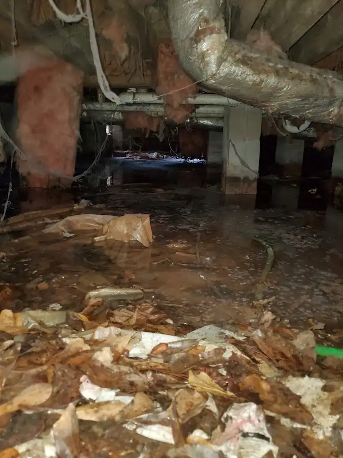 Crawl space flood assessment for Leak Detection & Repair in Jefferson