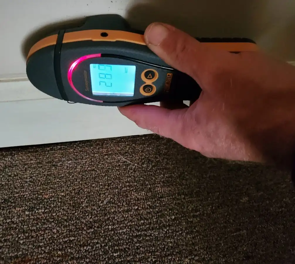 Moisture detection at baseboard during Mold Inspection & Testing in Jefferson